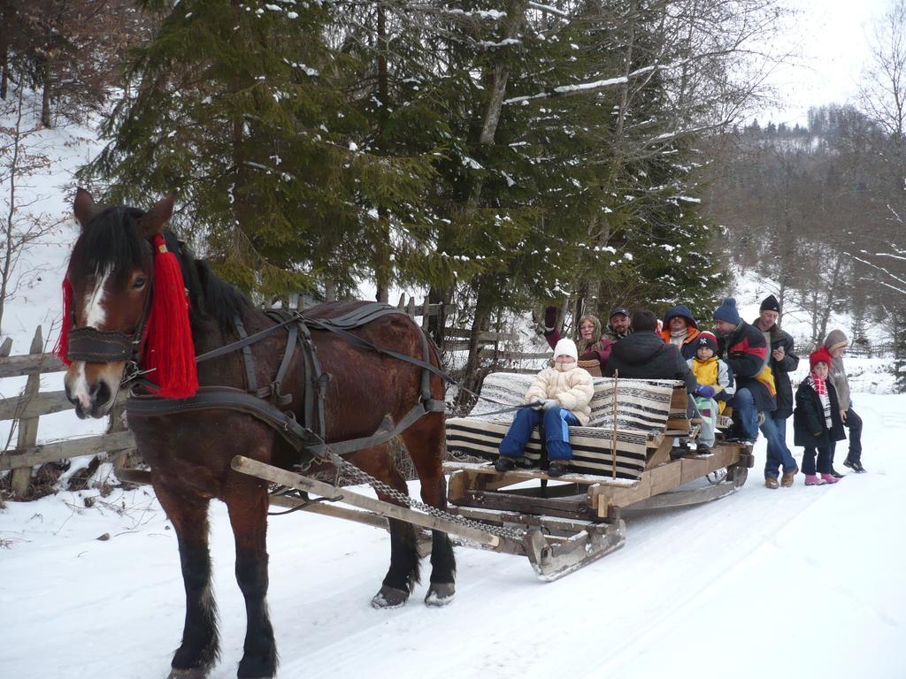Casa Bunicii Din Bucovina Villa Vama  Værelse billede
