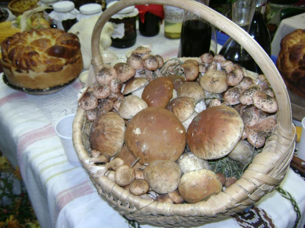 Casa Bunicii Din Bucovina Villa Vama  Værelse billede